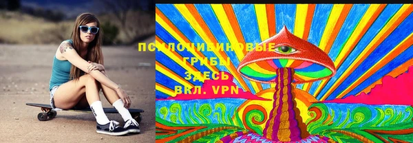 шишки Белокуриха