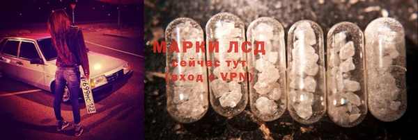 PSILOCYBIN Бронницы