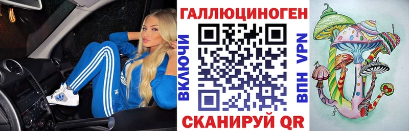 дарнет шоп Топки Галлюциногенные грибы GOLDEN TEACHER